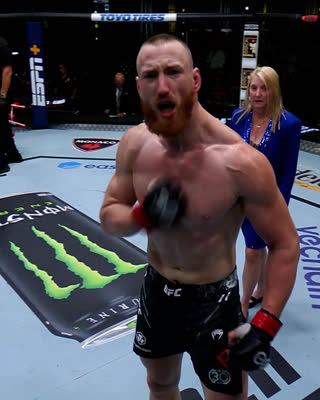 Все финиши Джо Пайфера в UFC