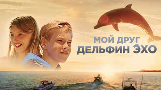 Мой друг дельфин Эхо