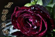 Іван Сорочак фотография #1