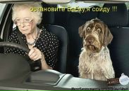 Фотография Курлеева Олега