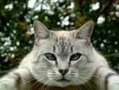 Фотография Николаевой Анны