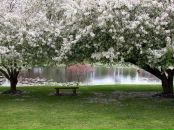 Наташа Плотникова фотография #1