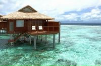 Фотография Шахидова Мехмана