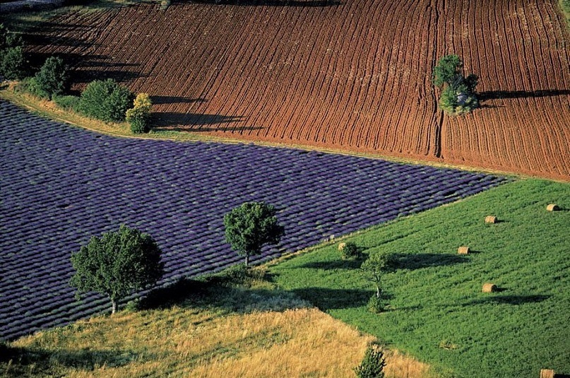 Ирина Мальцева фотография #28