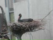 Фотография Міжнародны Вольги