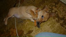 Фотография Журавлёвой Инны