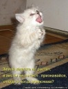 Андрій Андрусик фотография #22 (источник - https://vk.com/id101834348)
