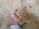 Ірунька Куклишин фотография #35 (источник - https://vk.com/id160370833)