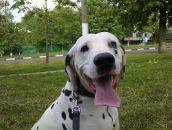 Антон Котов фотография #11 (источник - https://vk.com/id288997)