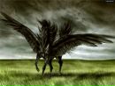 Фотография Erde Toxicum