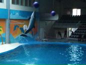 Murat Uzun фотография #16 (источник - https://vk.com/id1846906)