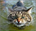 Фотография Морозовой Евгении