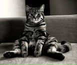 Фотография Васильева Максима