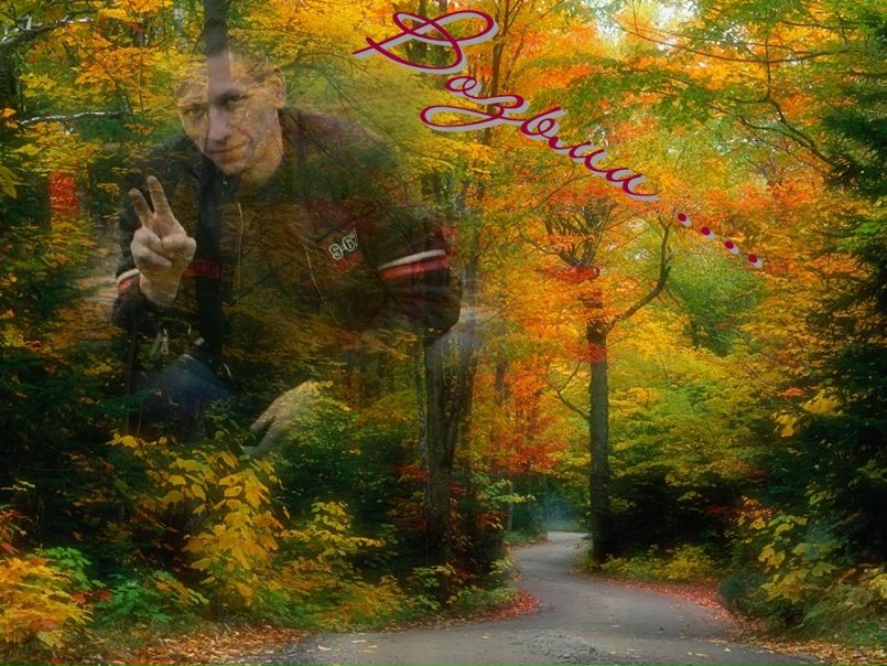 №13, Евгений Королёв, 46 лет, Санкт-Петербург №13, Евгений Королёв, 46 лет, Санкт-Петербург