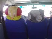 Анна Гудованая фотография #47 (источник - https://vk.com/id4491975)