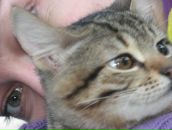 Анастасія Хонякіна фотография #6 (источник - https://vk.com/id7409281)