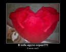 Олег Барандій фотография #12 (источник - https://vk.com/id96884262)