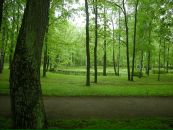 Ралука Каплеску фотография #17 (источник - https://vk.com/id69611341)