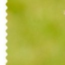 Андрій Чолій фотография #31 (источник - https://vk.com/id138222468)