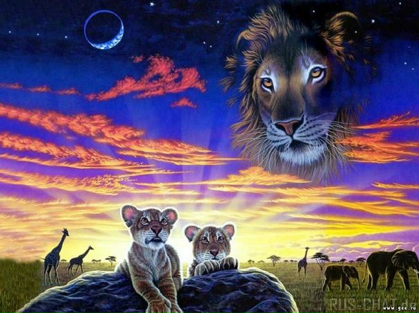 №1, Костя Северцов №1, Костя Северцов