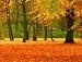 Наталія Воробець фотография #24 (источник - https://vk.com/id30538995)