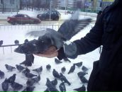 Фотография Ситало Алексея