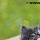 Анастасія Беккер фотография #20 (источник - https://vk.com/id153325684)
