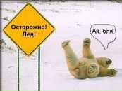 Фотография Люковой Елены