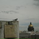 Bug Report фотография #40 (источник - https://vk.com/id2490637)