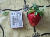 Юлія Золотоцька фотография #5 (источник - https://vk.com/id64797630)