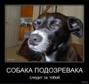 Андрій Гульчук фотография #29 (источник - https://vk.com/id21827585)
