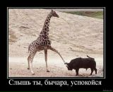 Ярослав Цвігун фотография #3 (источник - https://vk.com/id62915669)