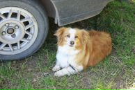 Фотография Николаева Екатерина