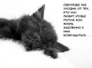 Маріна Єжова фотография #34 (источник - https://vk.com/id142504769)