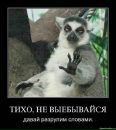 Віталій Дідович фотография #14 (источник - https://vk.com/id78979337)