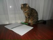 Альбінка Сивокінь фотография #7 (источник - https://vk.com/id156529865)