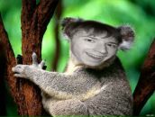 Фотография Демидова Сергея