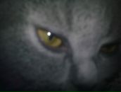 Зёбер Хе фотография #3 (источник - https://vk.com/id3613715)