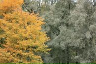 Фотография Зверевой Ирины