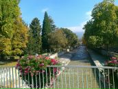 Kot Пушкин фотография #12 (источник - https://vk.com/id6049307)