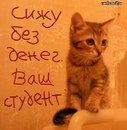 Славік Музиченко фотография #12 (источник - https://vk.com/id154277933)