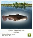 Платон Білинський фотография #23 (источник - https://vk.com/id136798686)