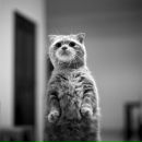 Фотография Храмова Сергея