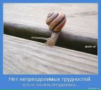 Ірина Шевченко фотография #34 (источник - https://vk.com/id17011710)