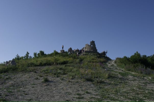 Сергей Гомов фото №43