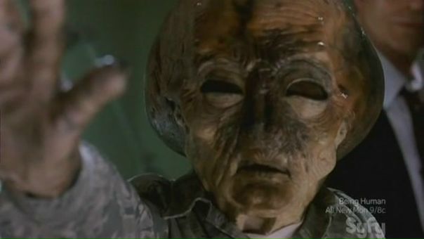 №13, Дмитрий Митузин №13, Дмитрий Митузин