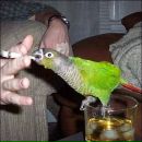 Sertac Baskaya фотография #8 (источник - https://vk.com/id98514835)