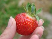 Фотография Польской Ирины