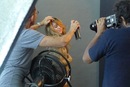 ♥miley Cyrus♥ фотография #47 (источник - https://vk.com/id151692990)