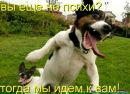 Рома Зімін фотография #15 (источник - https://vk.com/id56394113)